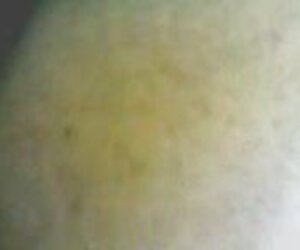 Làm phim sex online full hd không che vui mừng với các liên lạc của ủng da